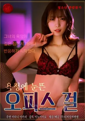 雾里看灯电视剧海报